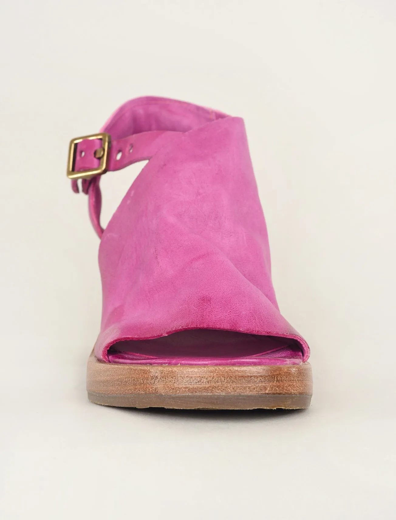 Aston Wedge, Fuchsia