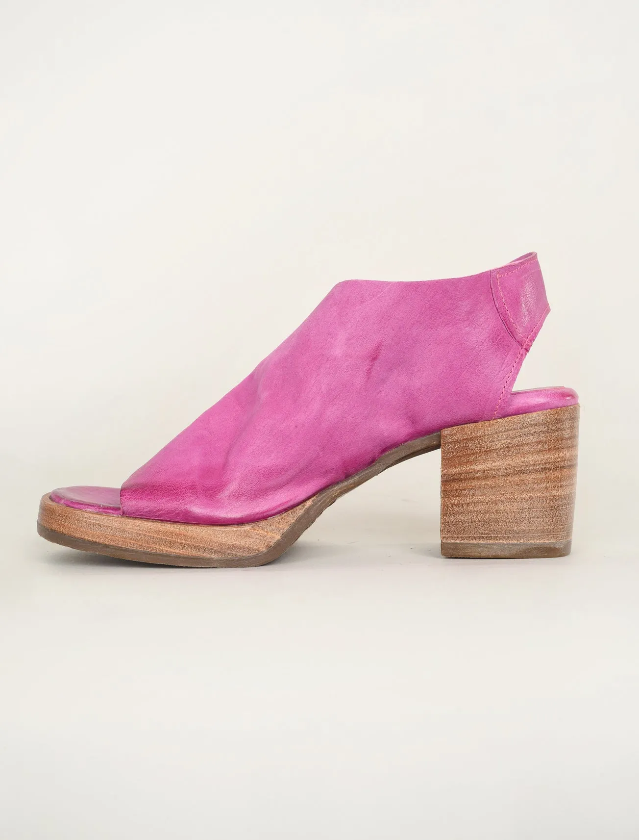 Aston Wedge, Fuchsia