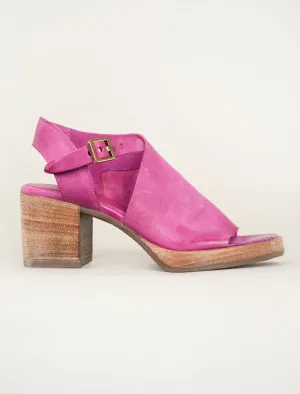 Aston Wedge, Fuchsia